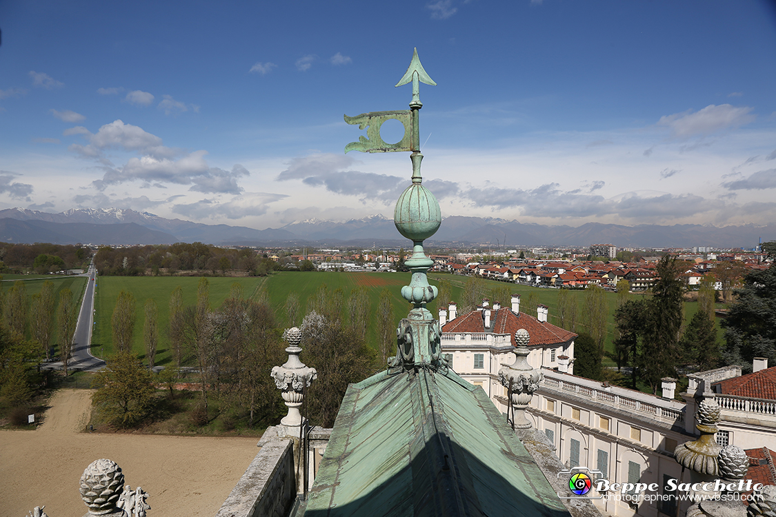 VBS_5875 - Sotto il Cervo - Palazzina di Caccia di Stupinigi.jpg